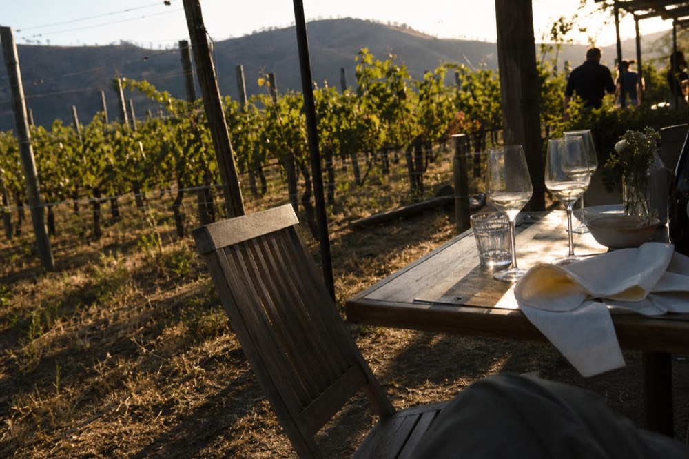 Outdoor tasting table set with wine glasses among vines, no text, no logos, no people