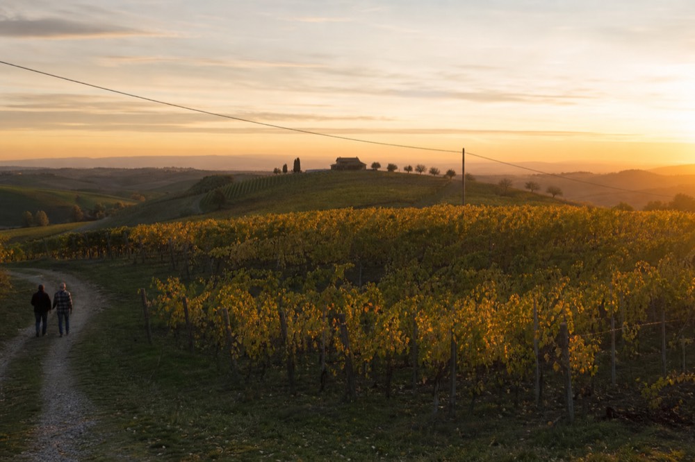 Sunset light over rolling vineyard hills with a distant ranch building, no text, no logos, no people.