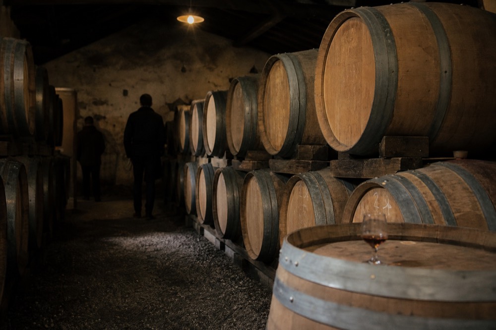 Wine barrels in a Valle de Guadalupe cellar, no text, no logos, no people