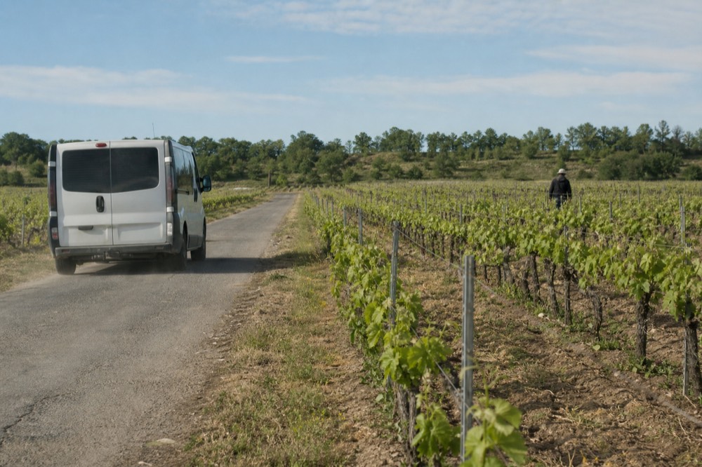 A van traveling a paved road between vineyards in Valle de Guadalupe, no text, no logos, no people