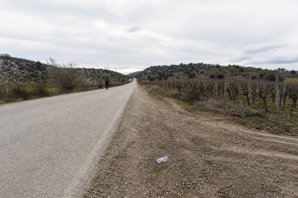 A quiet rural road with vineyards and low hills on both sides, no text, no logos, no people